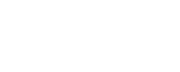 STW Technic Logo - White